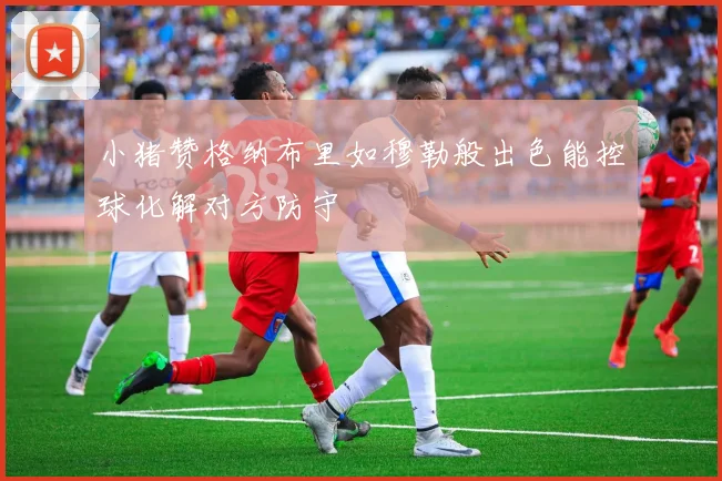 小猪赞格纳布里如穆勒般出色能控球化解对方防守